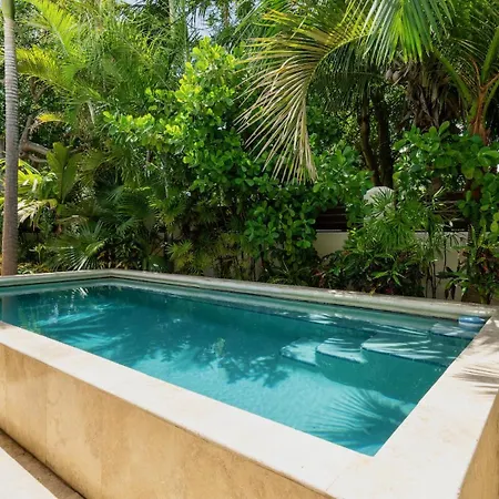 Island Opulence By Last Key Realty